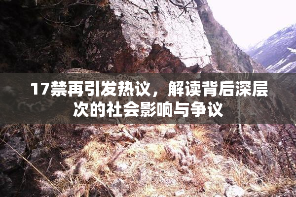 17禁再引发热议，解读背后深层次的社会影响与争议