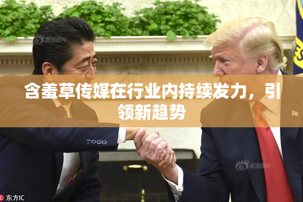 含羞草传媒在行业内持续发力，引领新趋势