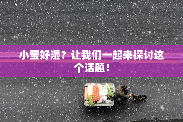 小莹好湿？让我们一起来探讨这个话题！