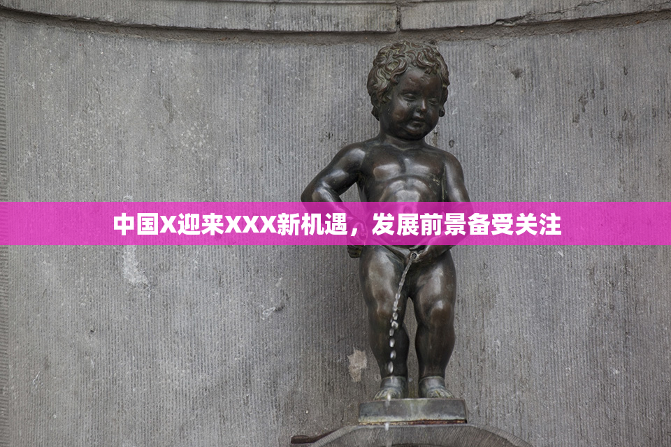 中国X迎来XXX新机遇，发展前景备受关注