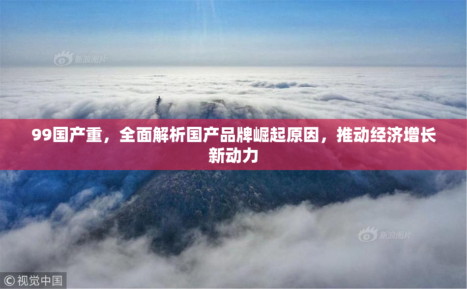 99国产重，全面解析国产品牌崛起原因，推动经济增长新动力