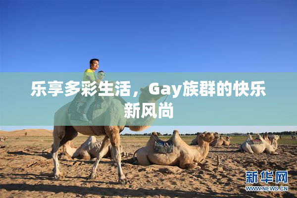 乐享多彩生活，Gay族群的快乐新风尚
