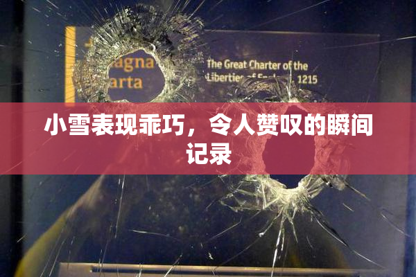 小雪表现乖巧，令人赞叹的瞬间记录
