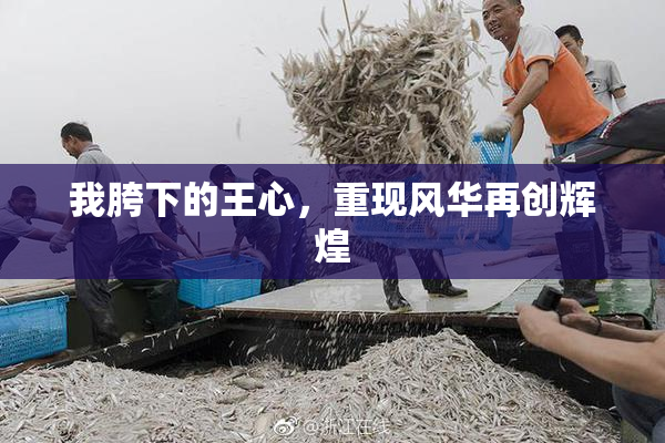 我胯下的王心，重现风华再创辉煌