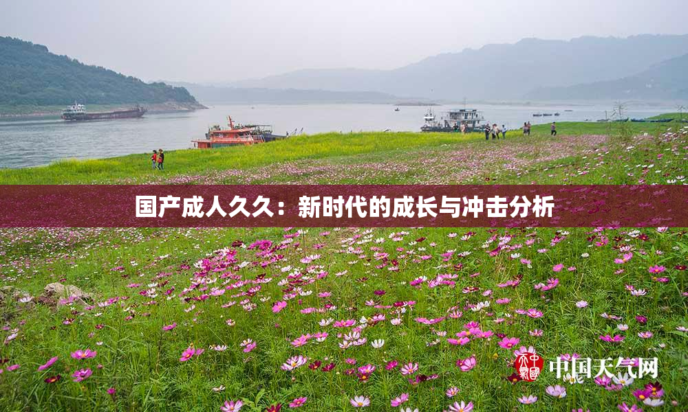 国产成人久久：新时代的成长与冲击分析