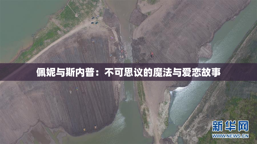 佩妮与斯内普：不可思议的魔法与爱恋故事