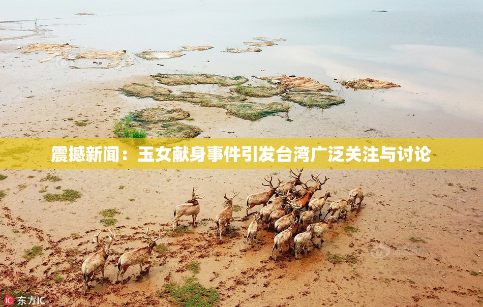 震撼新闻：玉女献身事件引发台湾广泛关注与讨论