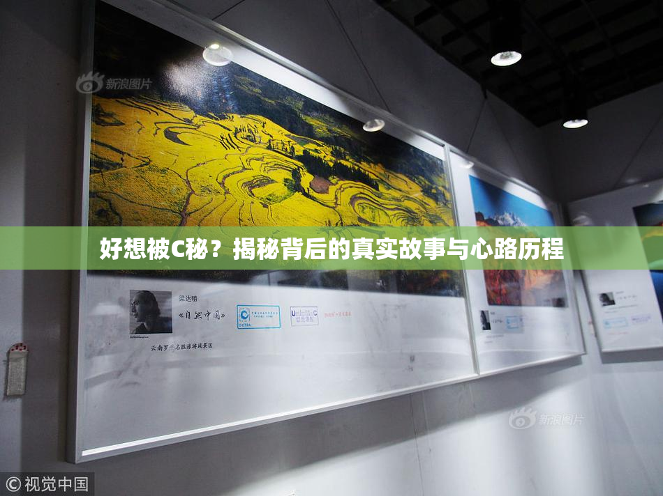 好想被C秘？揭秘背后的真实故事与心路历程