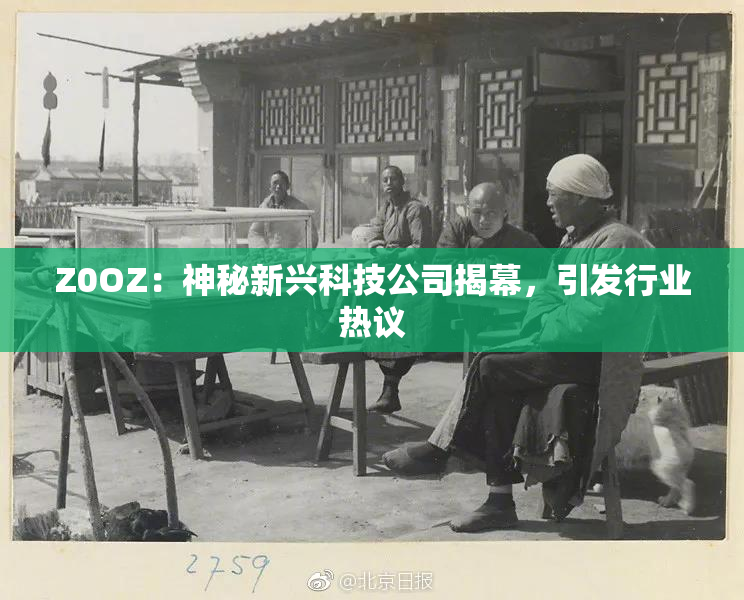 Z0OZ：神秘新兴科技公司揭幕，引发行业热议