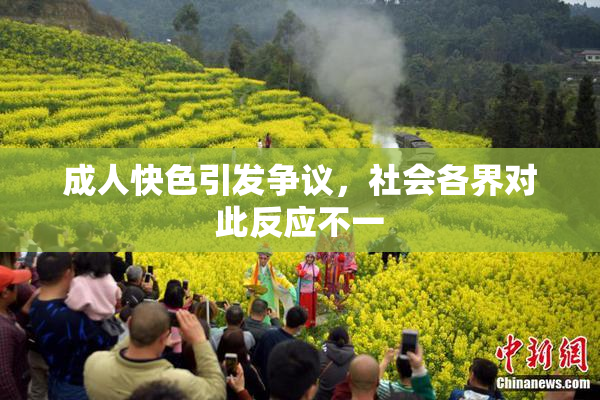 成人快色引发争议，社会各界对此反应不一