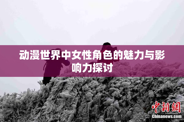 动漫世界中女性角色的魅力与影响力探讨