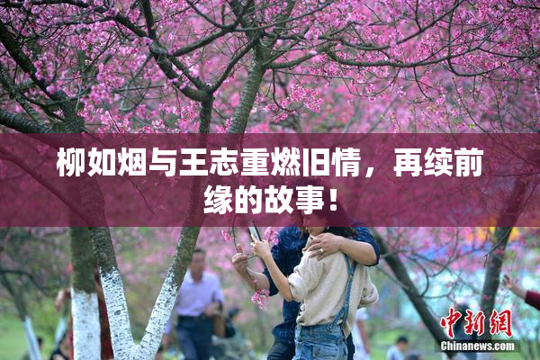柳如烟与王志重燃旧情，再续前缘的故事！