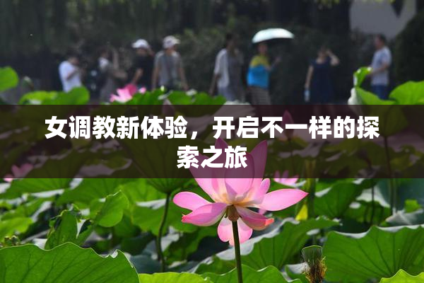 女调教新体验，开启不一样的探索之旅