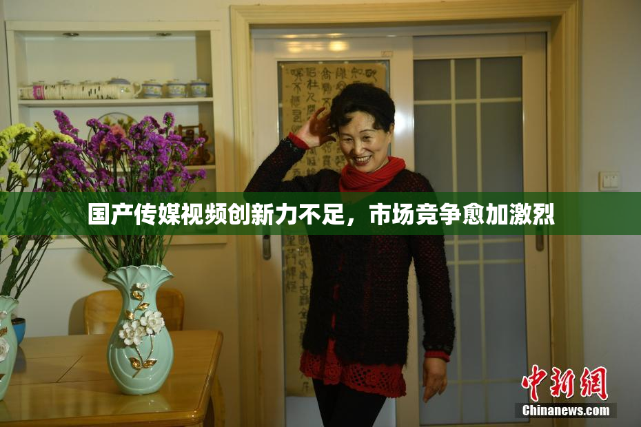 国产传媒视频创新力不足，市场竞争愈加激烈