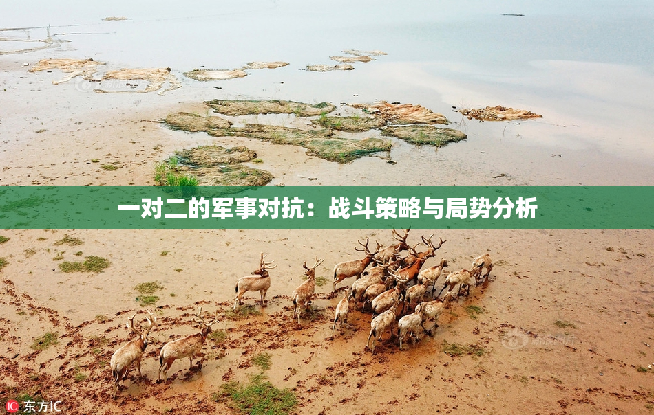 一对二的军事对抗：战斗策略与局势分析