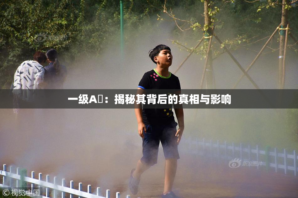 一级A婬：揭秘其背后的真相与影响