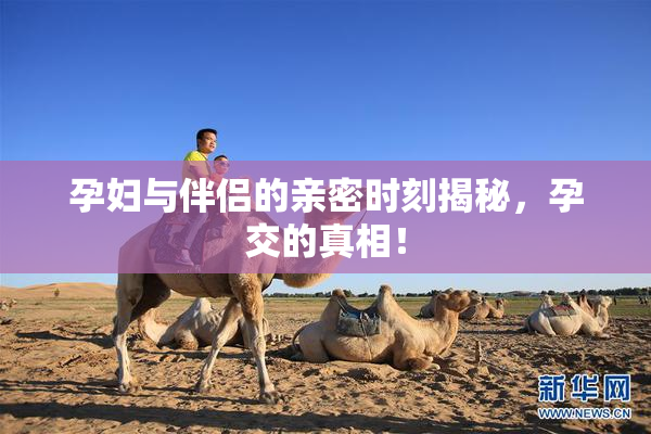 孕妇与伴侣的亲密时刻揭秘，孕交的真相！