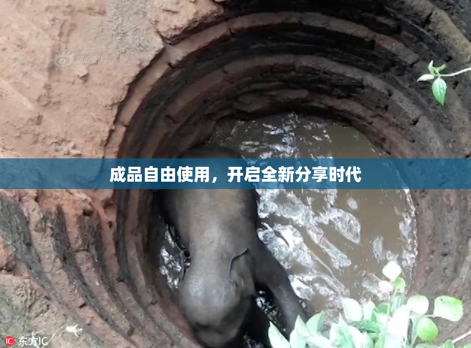 成品自由使用，开启全新分享时代