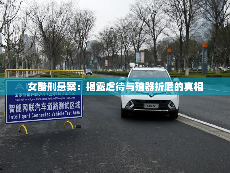 女酷刑悬案：揭露虐待与殖器折磨的真相