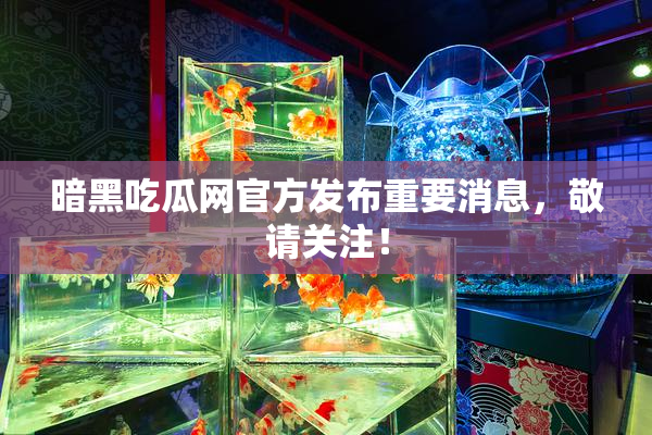 暗黑吃瓜网官方发布重要消息，敬请关注！