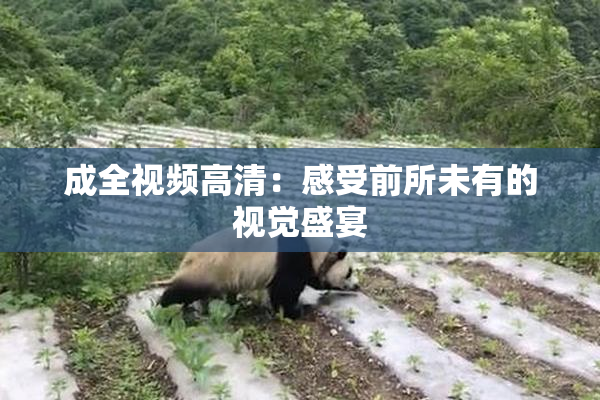 成全视频高清：感受前所未有的视觉盛宴