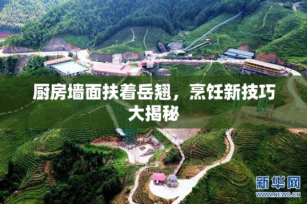 厨房墙面扶着岳翘，烹饪新技巧大揭秘