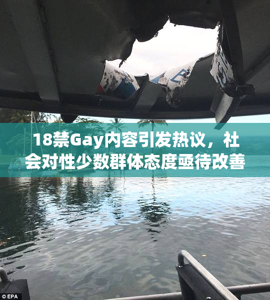 18禁Gay内容引发热议，社会对性少数群体态度亟待改善