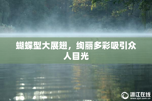 蝴蝶型大展翅，绚丽多彩吸引众人目光