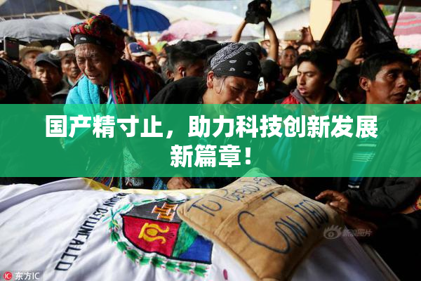 国产精寸止，助力科技创新发展新篇章！