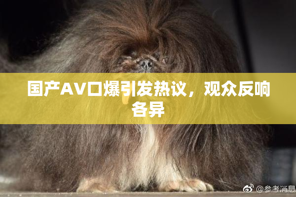 国产AV口爆引发热议，观众反响各异
