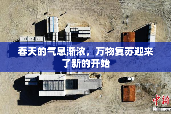 春天的气息渐浓，万物复苏迎来了新的开始