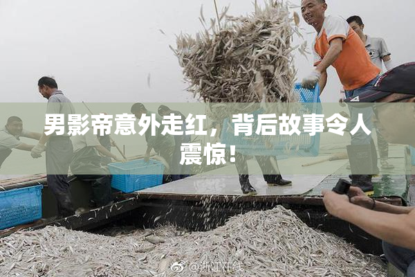 男影帝意外走红，背后故事令人震惊！