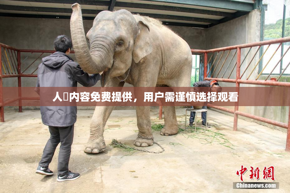 人婬内容免费提供，用户需谨慎选择观看