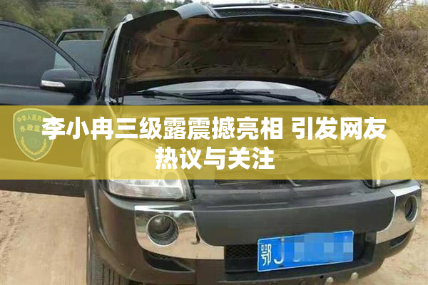 李小冉三级露震撼亮相 引发网友热议与关注