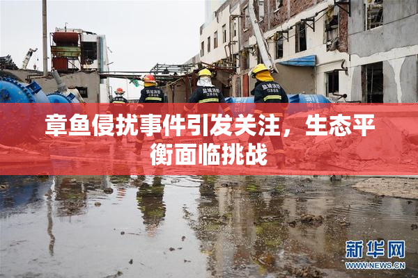 章鱼侵扰事件引发关注，生态平衡面临挑战