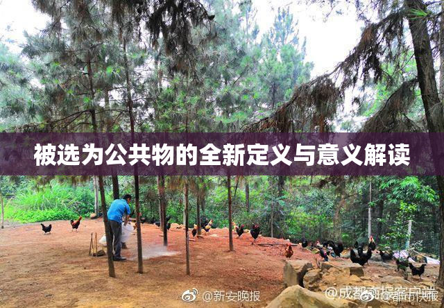 被选为公共物的全新定义与意义解读