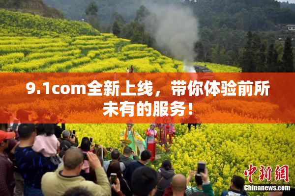 9.1com全新上线，带你体验前所未有的服务！