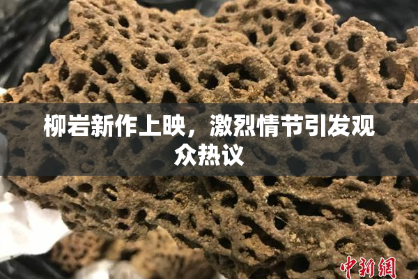 柳岩新作上映，激烈情节引发观众热议