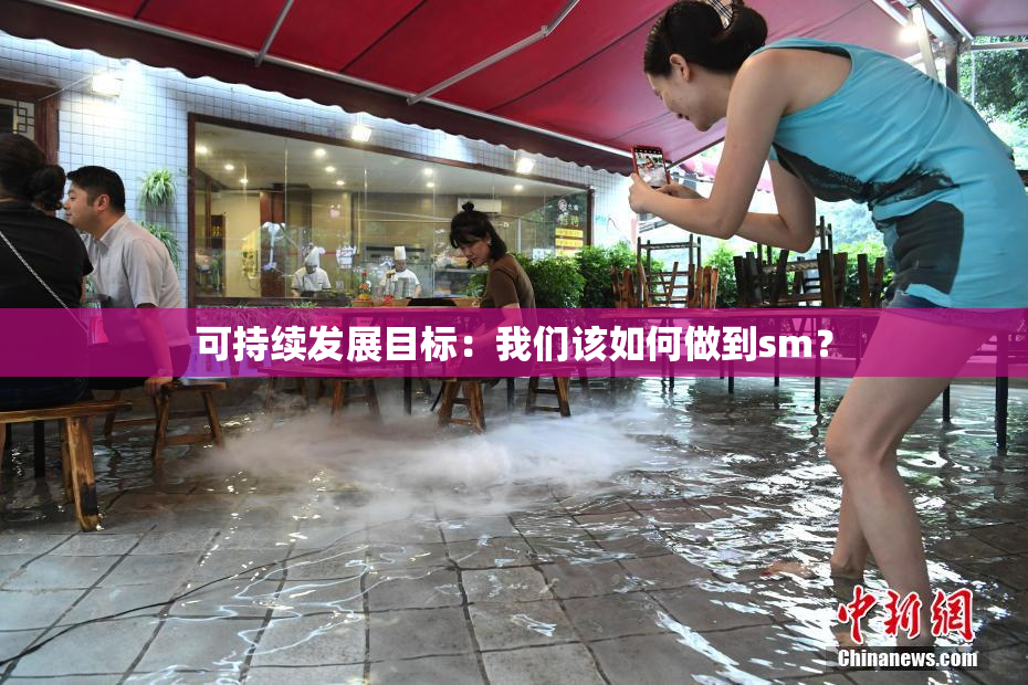 可持续发展目标：我们该如何做到sm？