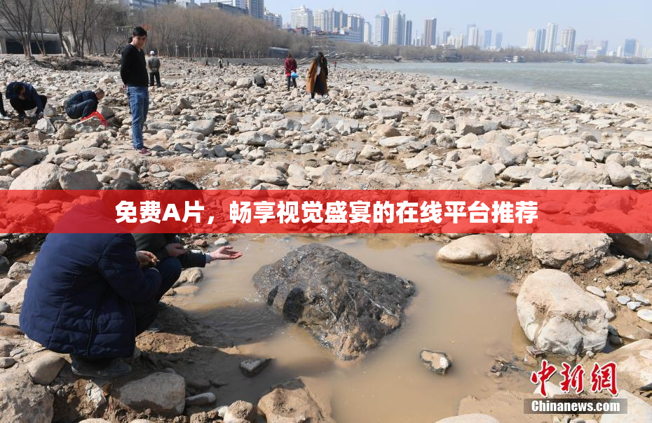 免费A片，畅享视觉盛宴的在线平台推荐