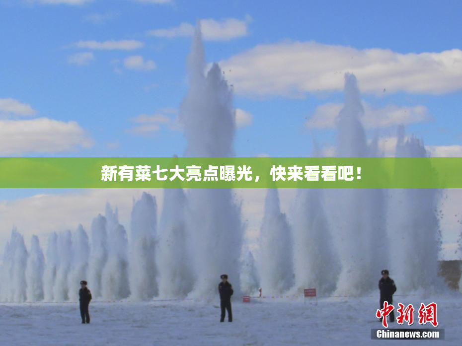 新有菜七大亮点曝光，快来看看吧！
