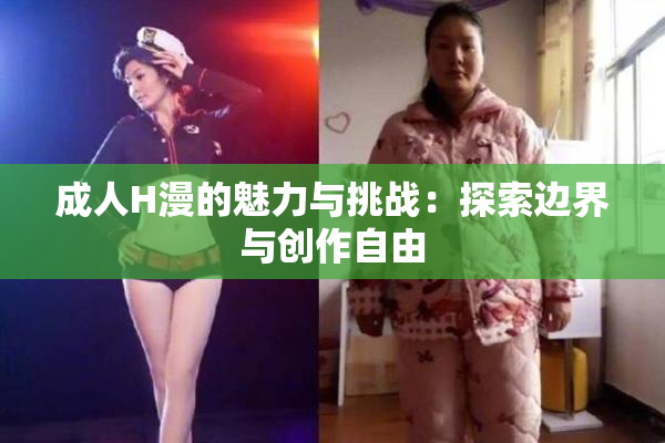 成人H漫的魅力与挑战：探索边界与创作自由