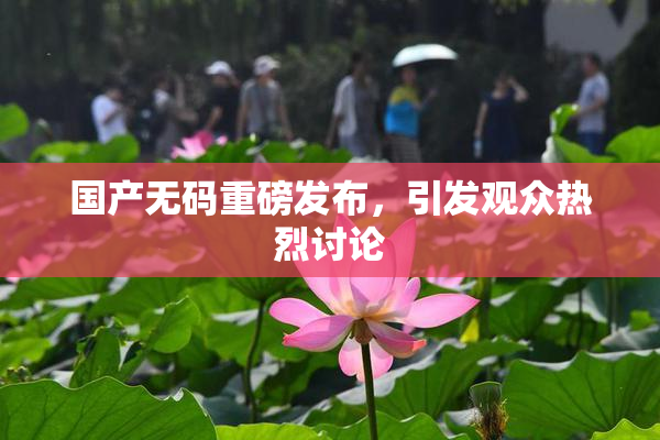 国产无码重磅发布，引发观众热烈讨论