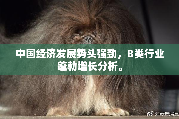 中国经济发展势头强劲，B类行业蓬勃增长分析。