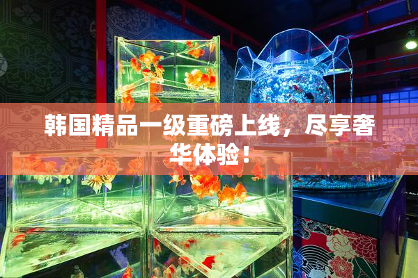 韩国精品一级重磅上线，尽享奢华体验！
