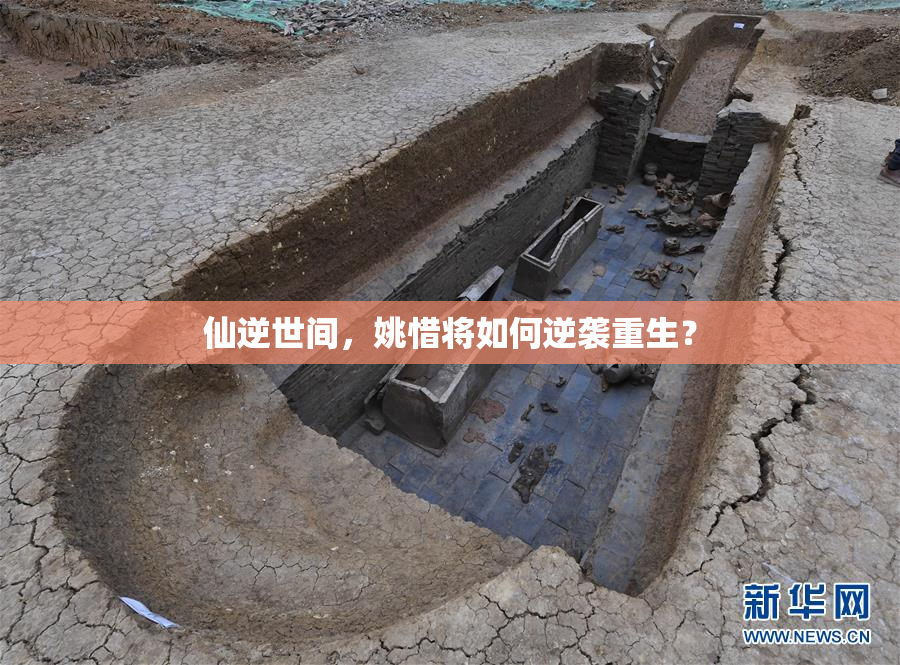仙逆世间，姚惜将如何逆袭重生？