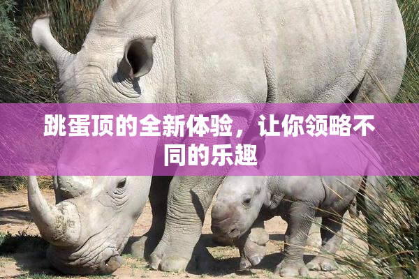 跳蛋顶的全新体验，让你领略不同的乐趣