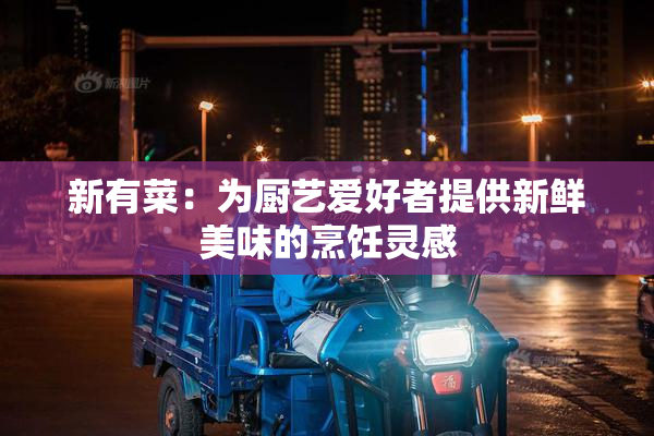 新有菜：为厨艺爱好者提供新鲜美味的烹饪灵感