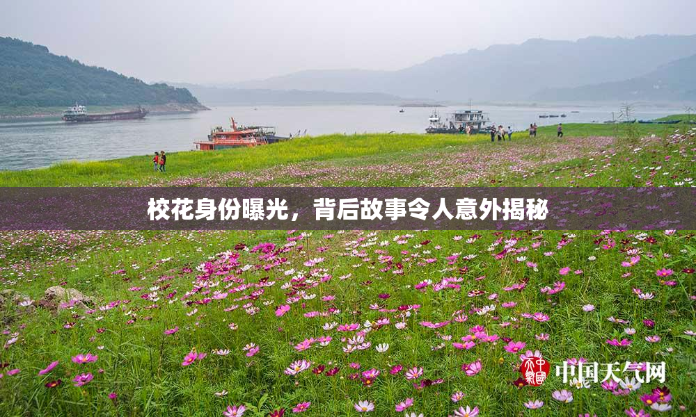 校花身份曝光，背后故事令人意外揭秘