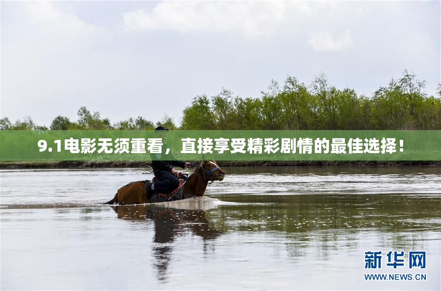 9.1电影无须重看，直接享受精彩剧情的最佳选择！